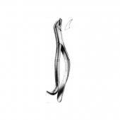 Extracting Forceps American Pattern